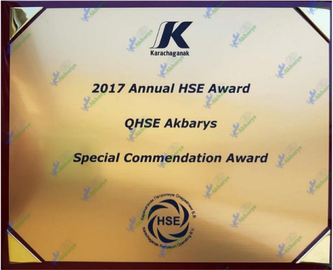 HSE Annual Award